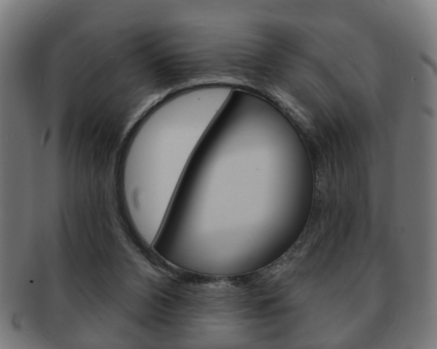 X0000091910112200709051219