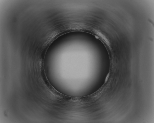 X0000091910113200709051219