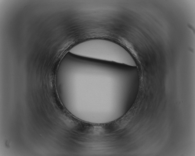 X0000091910114200709051219