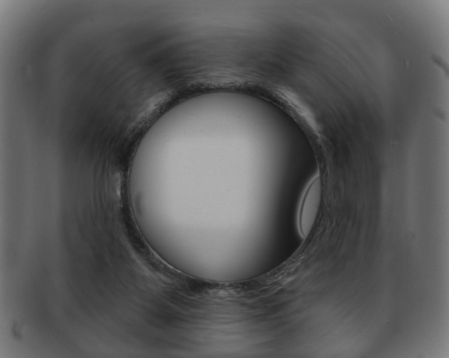 X0000091910115200709051219
