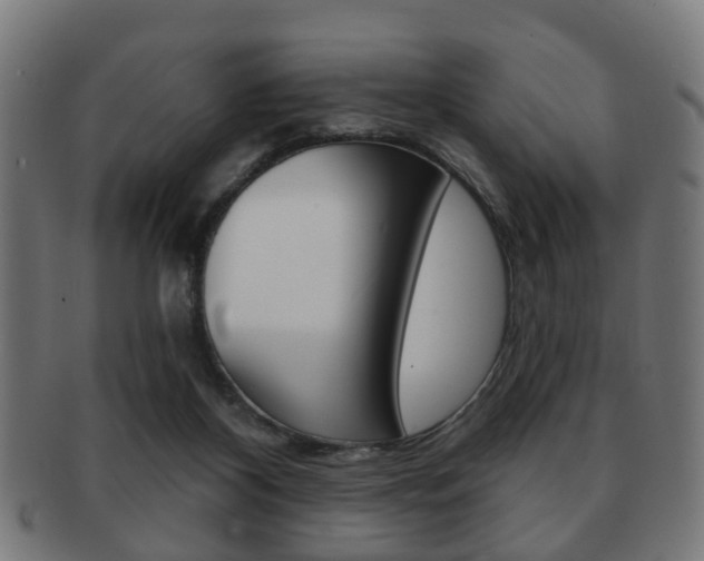 X0000091910116200709051219