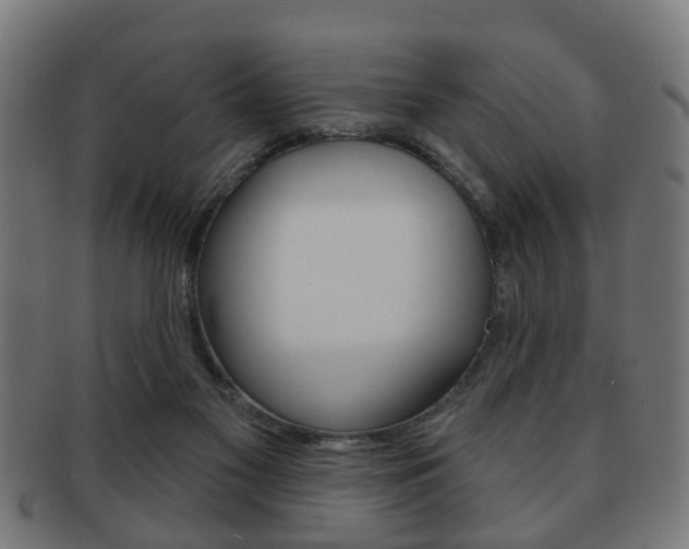X0000091910117200709051219