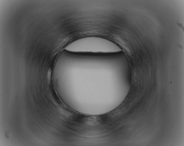 X0000091910118200709051219