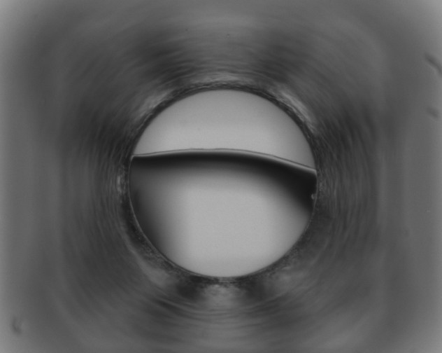 X0000091910119200709051219