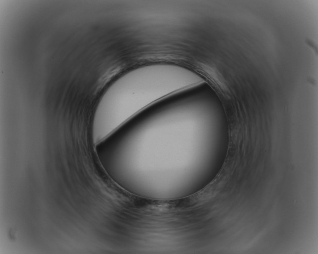 X0000091910120200709051219