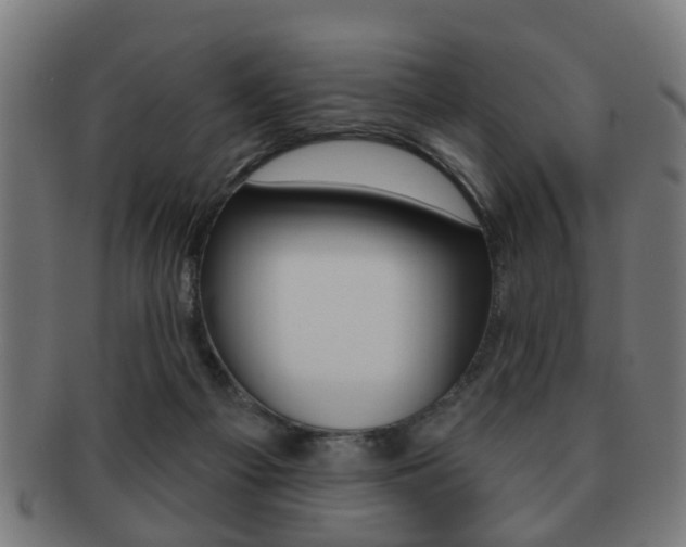 X0000091910121200709051219