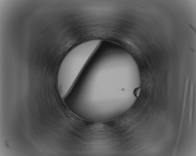 X0000091910123200709051219