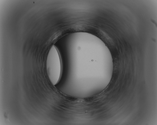 X0000091910124200709051219