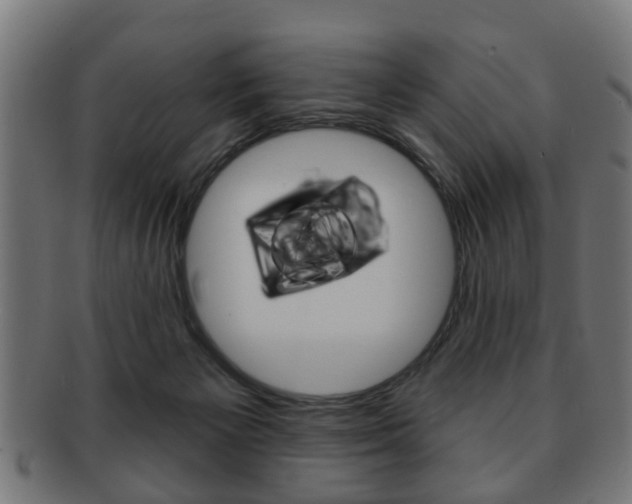 X0000091910125200709051219