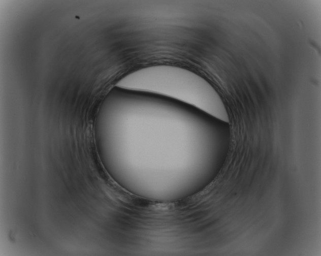 X0000091910126200709051219