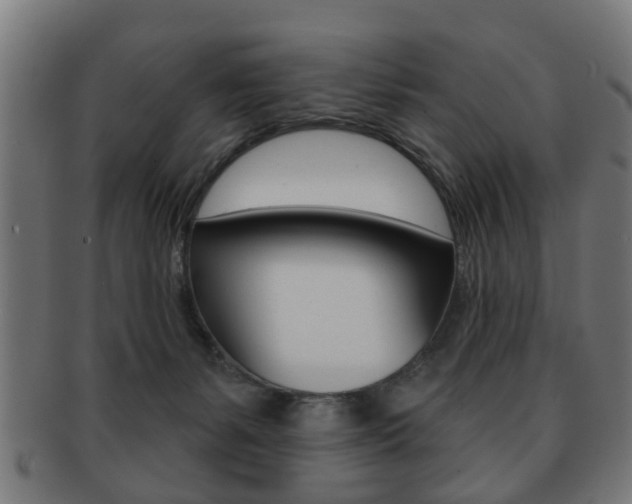 X0000091910127200709051219