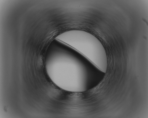X0000091910128200709051219