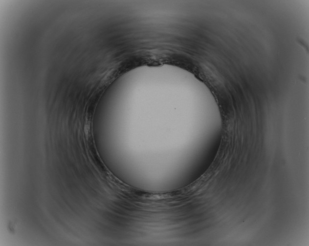 X0000091910129200709051219