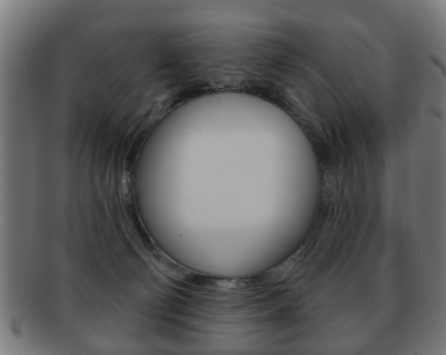X0000091910130200709051219