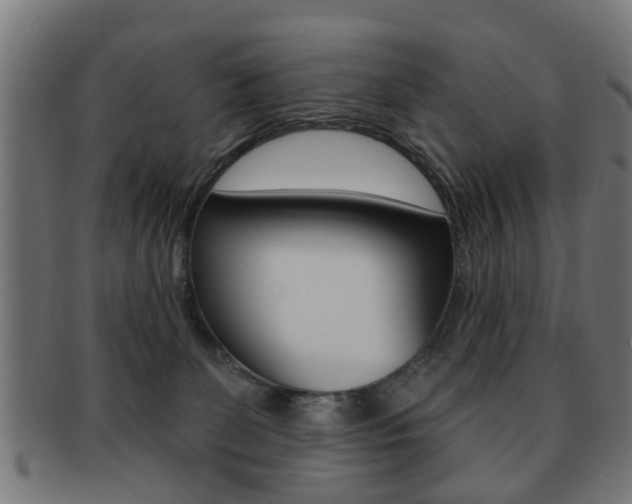 X0000091910131200709051219