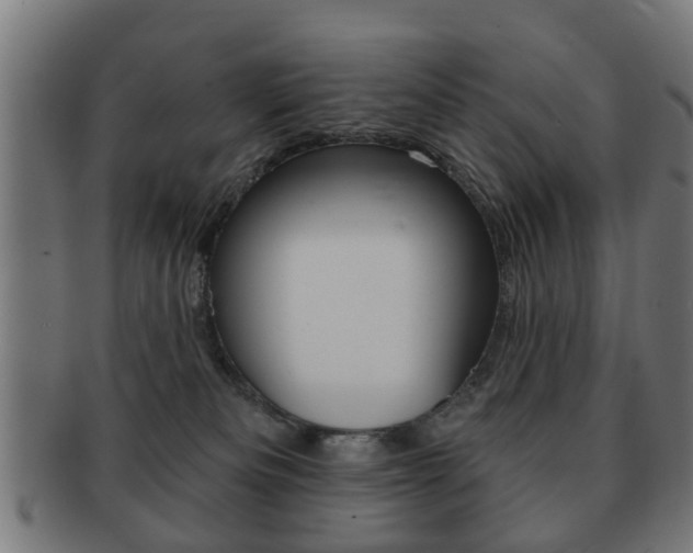 X0000091910133200709051219