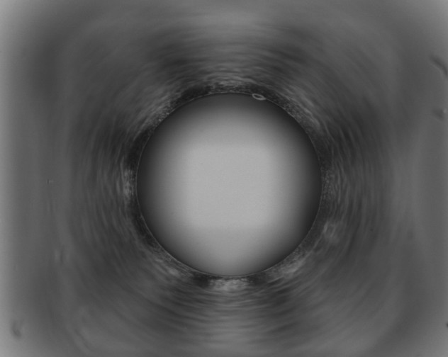 X0000091910135200709051219