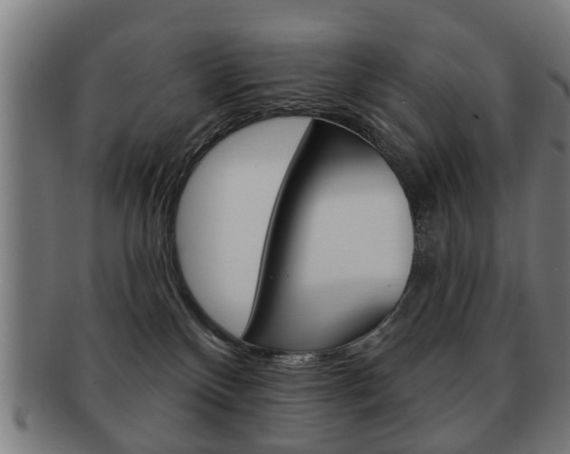X0000091910136200709051219