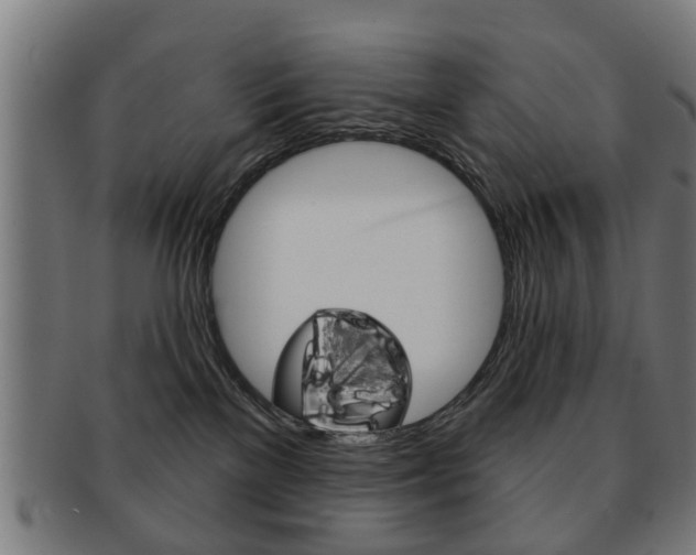 X0000091910137200709051219