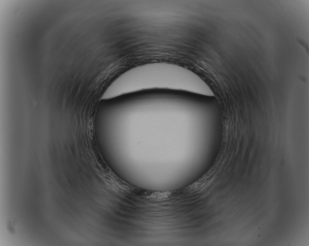 X0000091910138200709051219