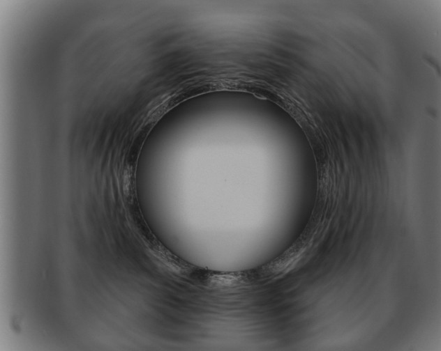 X0000091910139200709051219