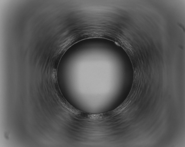 X0000091910141200709051219