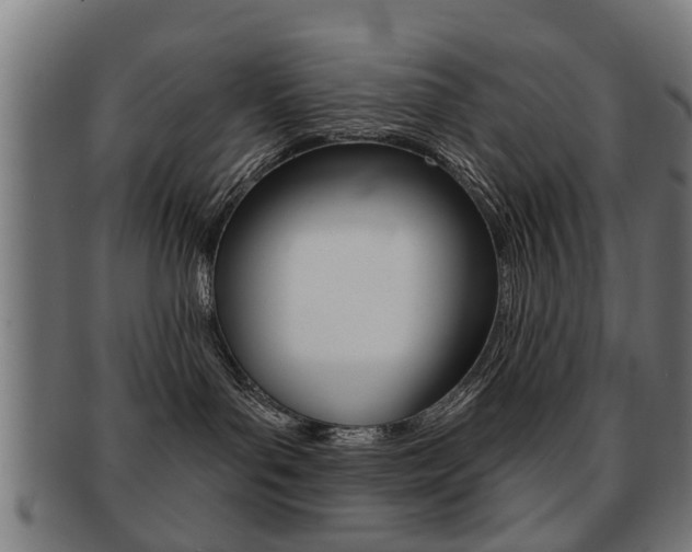 X0000091910143200709051219