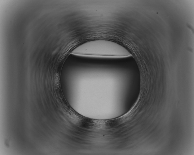 X0000091910144200709051219