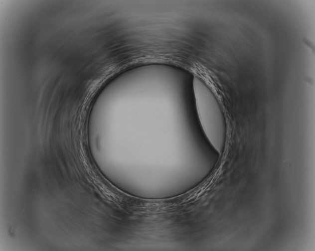X0000091910145200709051218