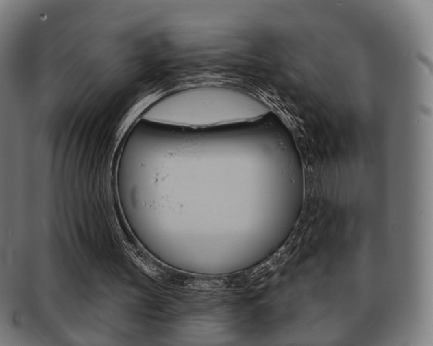X0000091910147200709051218