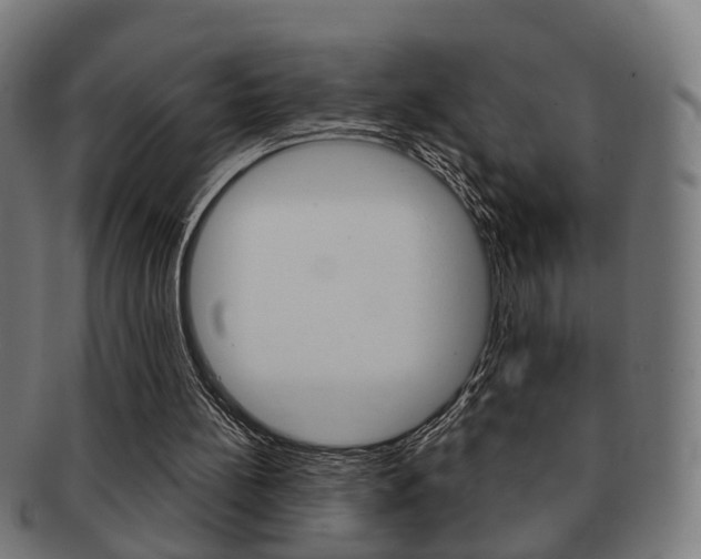 X0000091910148200709051218