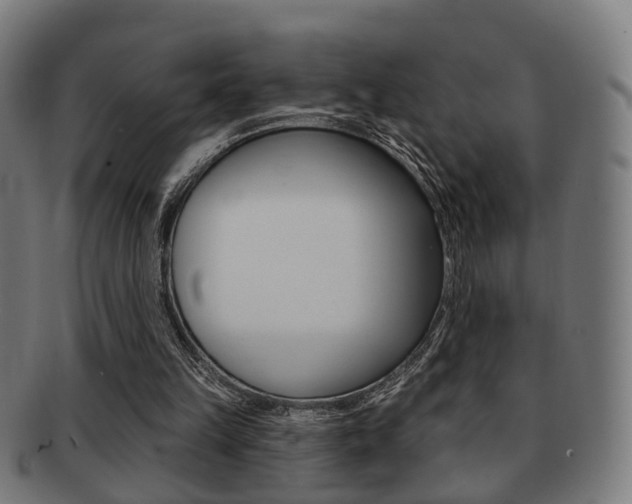 X0000091910149200709051218