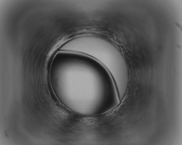 X0000091910150200709051218