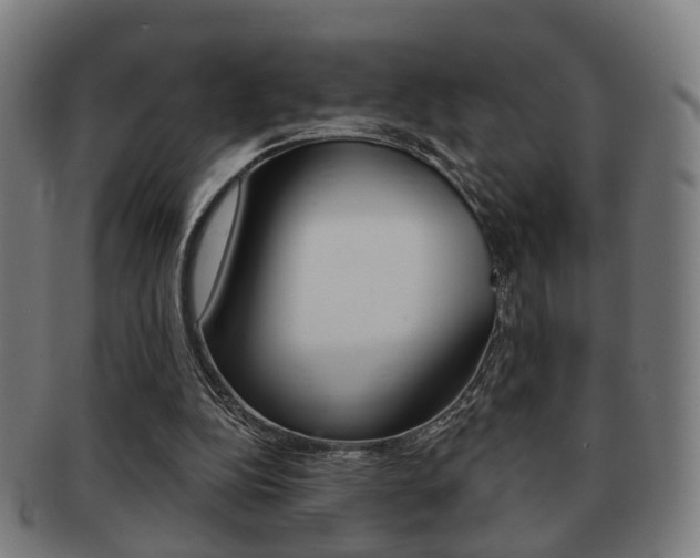X0000091910152200709051218