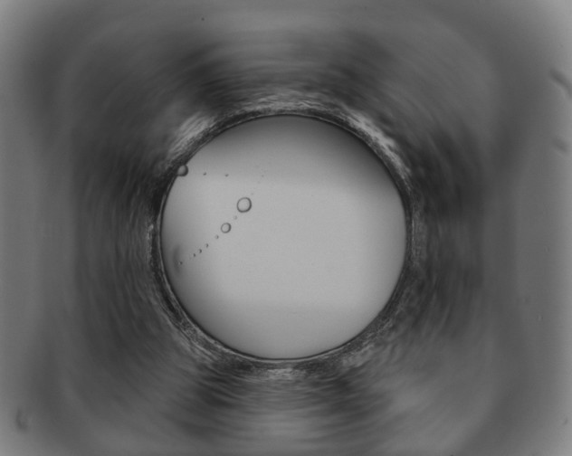 X0000091910153200709051218