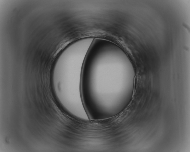 X0000091910154200709051218