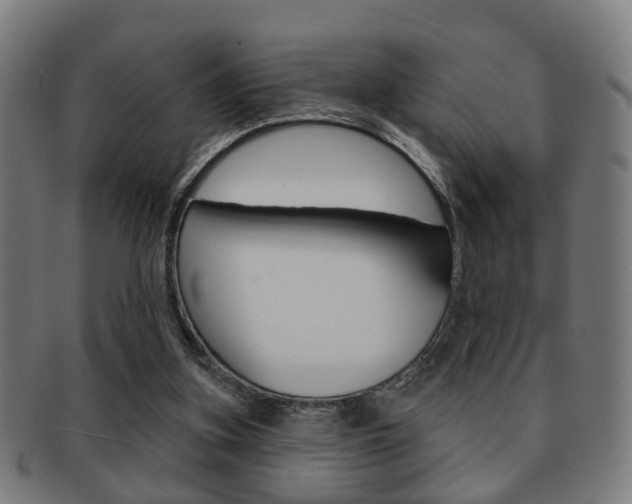 X0000091910155200709051218
