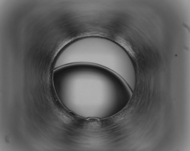 X0000091910156200709051218