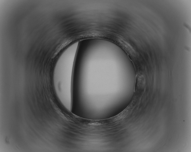 X0000091910158200709051218