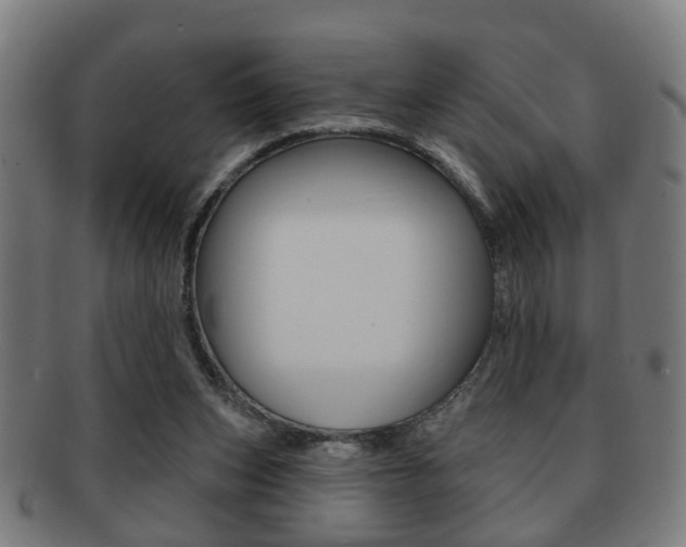 X0000091910159200709051218