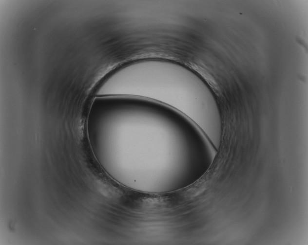 X0000091910160200709051218