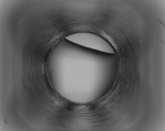 X0000091910161200709051218