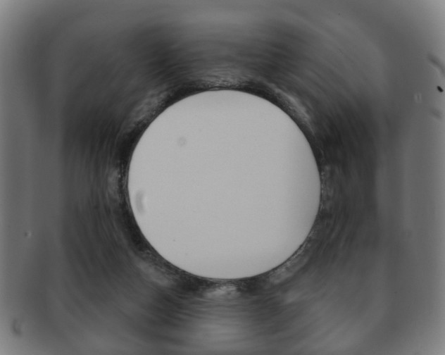 X0000091910162200709051218