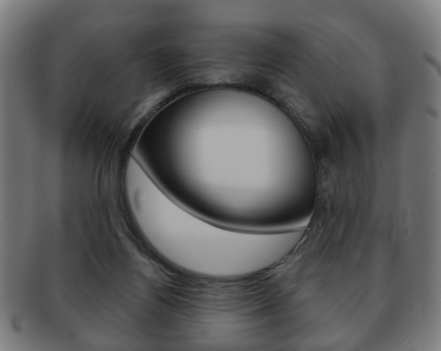 X0000091910164200709051218