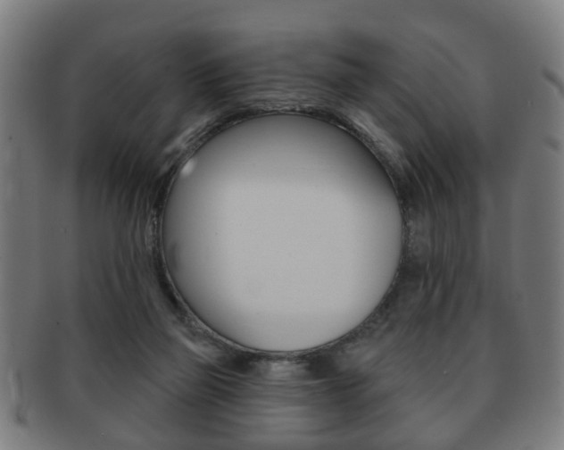 X0000091910165200709051218