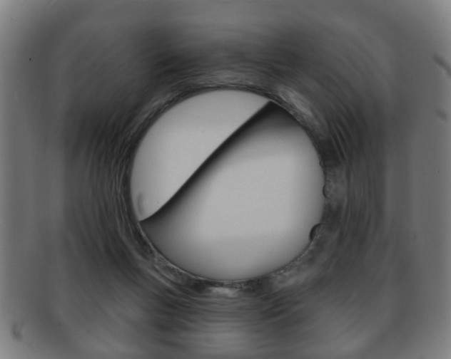 X0000091910167200709051218