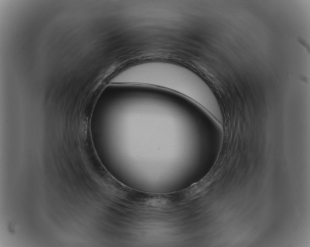 X0000091910168200709051218