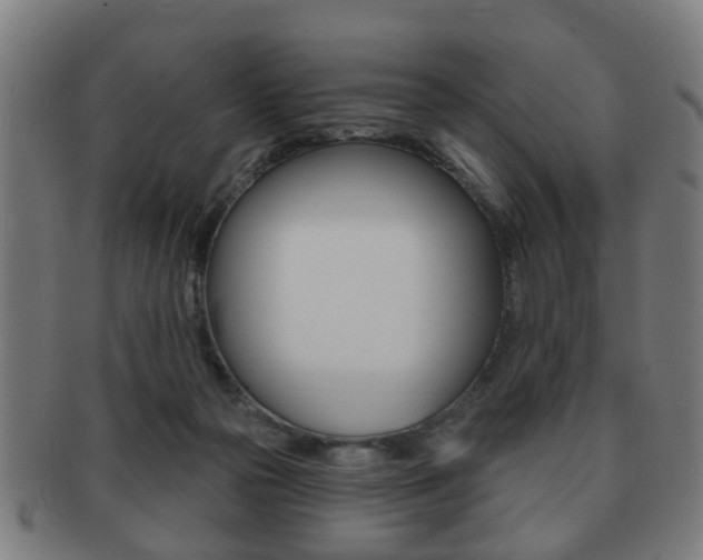 X0000091910169200709051218