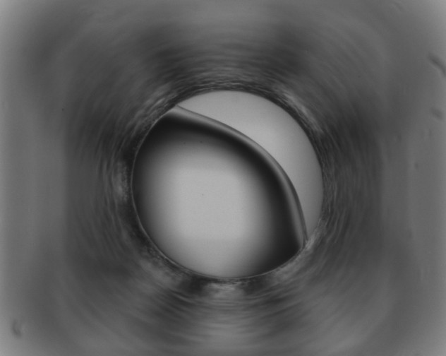 X0000091910170200709051218