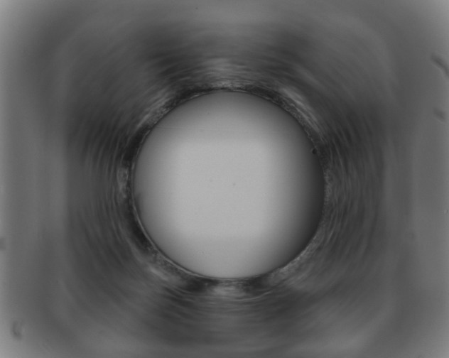 X0000091910171200709051218